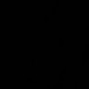 Meet your Posher, Nolan